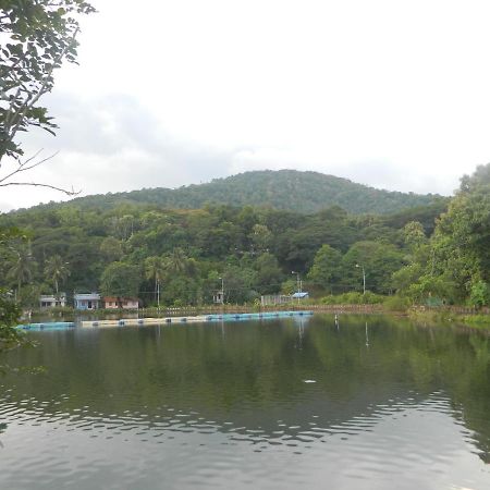 Zamaraya Bed & Breakfast Angamaly Esterno foto