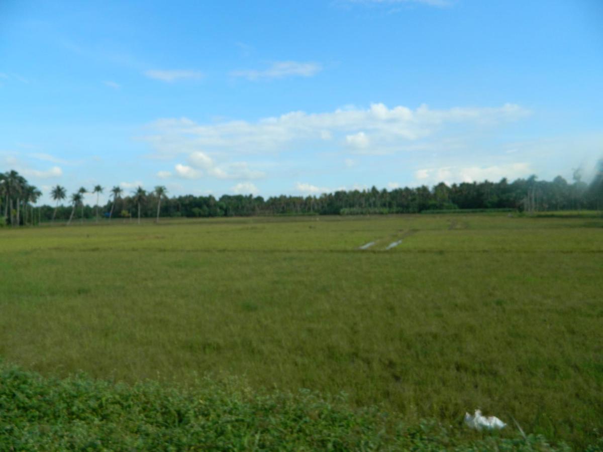 Zamaraya Bed & Breakfast Angamaly Esterno foto