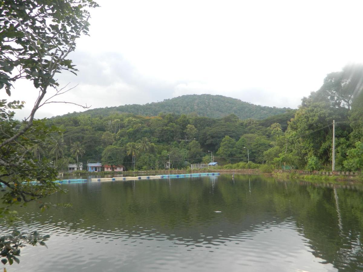 Zamaraya Bed & Breakfast Angamaly Esterno foto